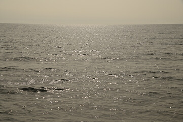 太陽の光と海の輝き