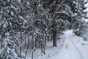 Yukon Territory, Canada