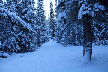 Yukon Territory, Canada