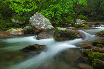 Spring landscape of Big Creek captured with motion blur, Great Smoky Mountains National Park, Tennessee, USA
