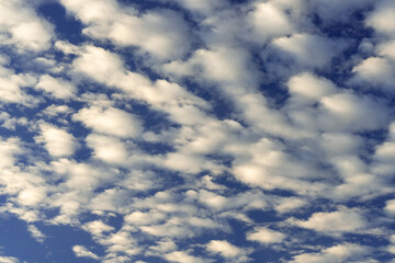 blue sky and mackerel clouds 