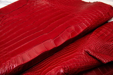 red dyed alligator natural leather - material for handbags and shoes	
