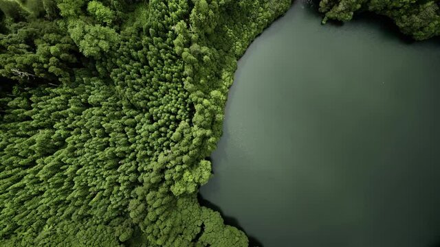 Lake Congro on San Miguel Island