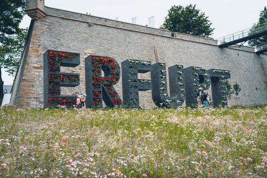 Erfurt city sign with wall of flowers
