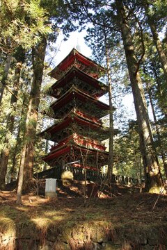 Traditional Japanese Pagoda Inside Ancient Forest