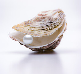Perle in einer Auster isoliert auf weissem Hintergrund
