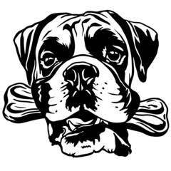 Boxer dogs. Boxer dog breed. black and white clipart dog head isolated on white background. Dog holding a bone in his teeth .Cut print svg. Cute dog