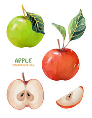 Watercolor set with apples. Ripe red apple and green apple. Ingredients for apple pie with apple slices