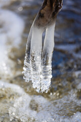 Icicles in the natural environment by the river