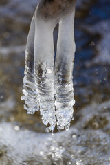 Icicles in the natural environment by the river