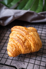 Croissant on baking rack with dark background