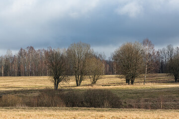 agricultural land in early spring