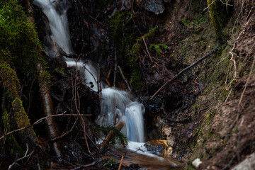 A small forest river with stones