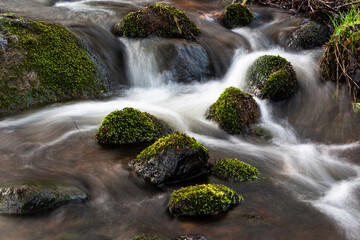 A small forest river with stones