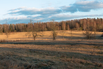 agricultural land in early spring