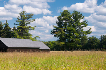Obraz premium topsmead state forest meadow connecticut landscape