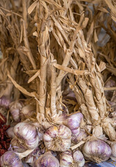 Bunch of garlic bulbs on market stall