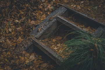 Blurred old wooden steps among the autumn foliage. Selective focus, abstract nature background