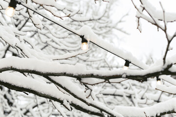 Against the sky is a snow-covered tree and a street garland of light bulbs. The tree is covered with snow