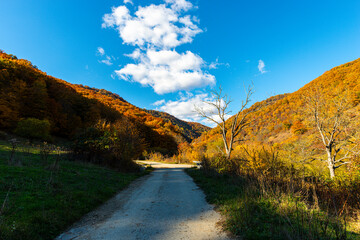 Amazing landscape in fall season