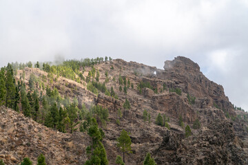 Fototapeta na wymiar Rocks and pine trees of a typical landscape of Gran Canaria