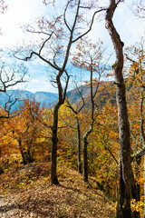 Fototapeta na wymiar Amazing landscape in fall season