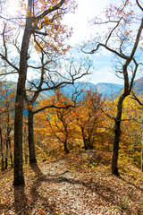 Fototapeta premium Amazing landscape in fall season