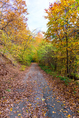 Obraz premium Amazing landscape in fall season