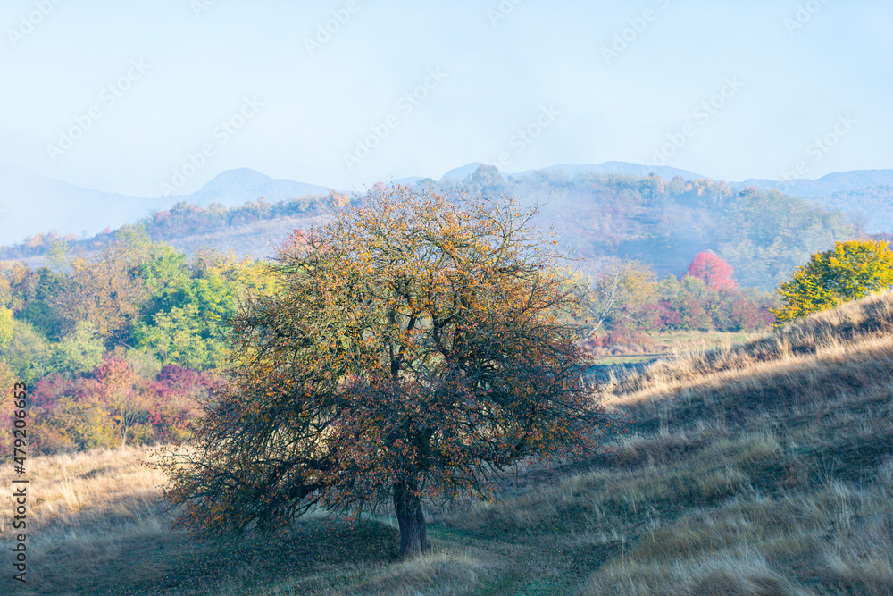 Sticker Amazing landscape in fall season