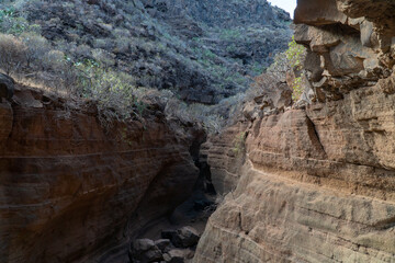 Fototapeta na wymiar Canyon of volcanic origin in the canary island of Gran Canaria