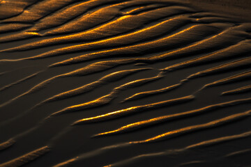 beach sand in sunset light