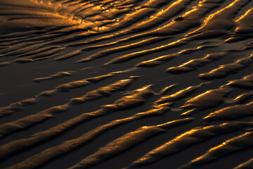 beach sand in sunset light