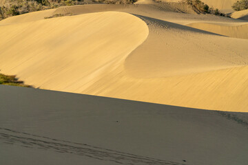 Desert like dunes of Maspalomas in Gran Canaria at the coast of the island