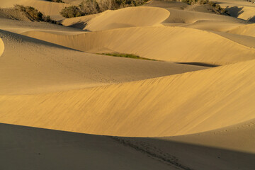 Beautiful natural formed sand structures in the dunes of Gran Canaria