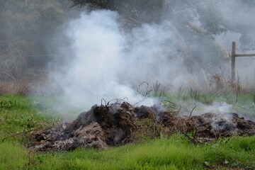 Fototapeta na wymiar brûler des herbes à la campagne, au Portugal