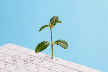 Green information technology. Environmentally Sustainable IT. Copy space. Green plant growing,...