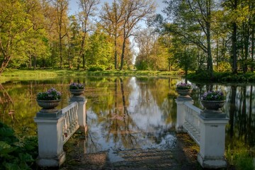 reflection of trees in the water
