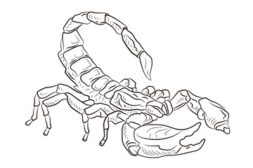Scorpio. Black and white drawing, coloring for children. Symbol.