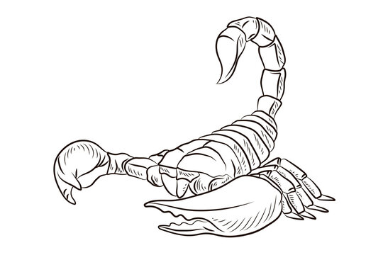 Scorpio. Black and white drawing, coloring for children. Symbol.