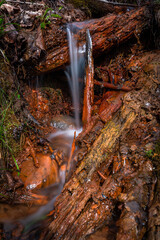 A small forest river with stones