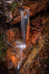 A small forest river with stones