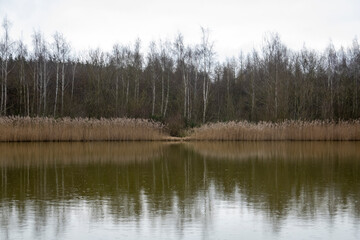 Obraz premium Waldsee