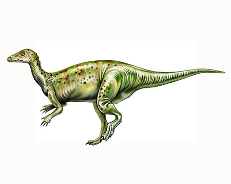 Thescelosaurus, Cretaceous Dinosaur Mesozoic Era