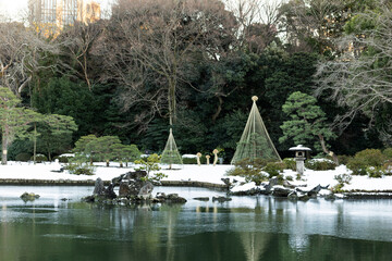 六義園　冬　雪の日