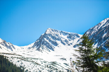 Fototapeta na wymiar Landscape in the mountains, Valea Sambetei, Fagaras Mountains.
