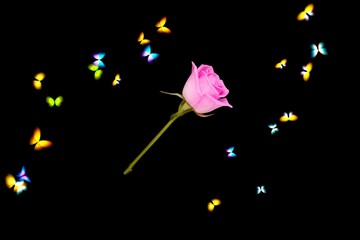 3d render illustration, Amazing picture of flowers