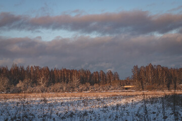 snow covered agricultural field, forest and bridge in distance