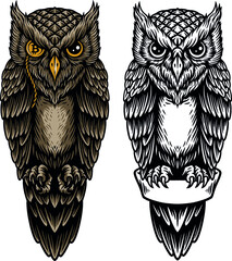 owl vector drawing