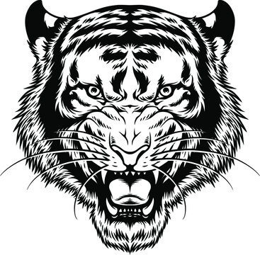 tiger head vector