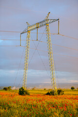 Amazing landscape at the sunset in the poppies field